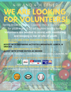 Cover photo for Need Volunteer Hours?