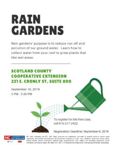 Rain gardens flyer image