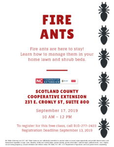 Fire ants flyer image