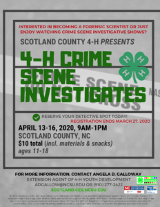 4H CSI