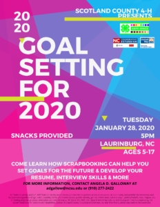 4H Goal Setting 2020