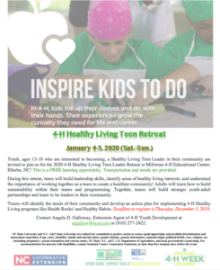 2020 Healthy Living Retreat flyer