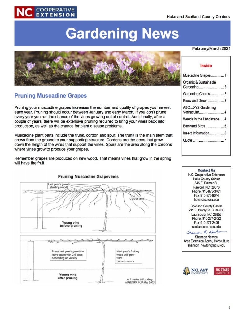 Gardening Newsletter