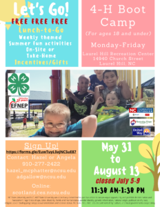 Summer Feeding Site flyer