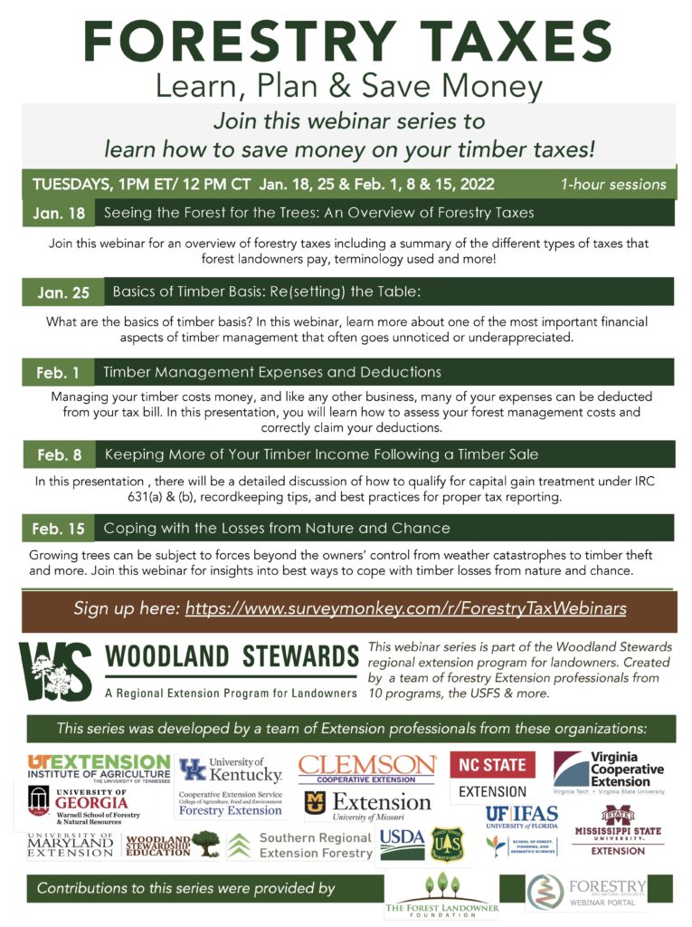 Forestry taxes webinar flyer