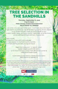 Cover photo for Tree Selection in the Sandhills