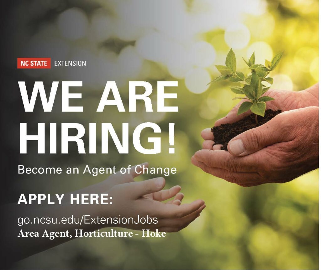 We Are Hiring! Become an Agent of Change Banner Image