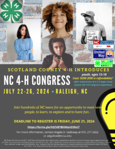 NC 4-H Congress flyer