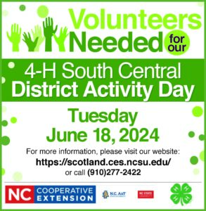 4-H SCDAD Volunteer flyer
