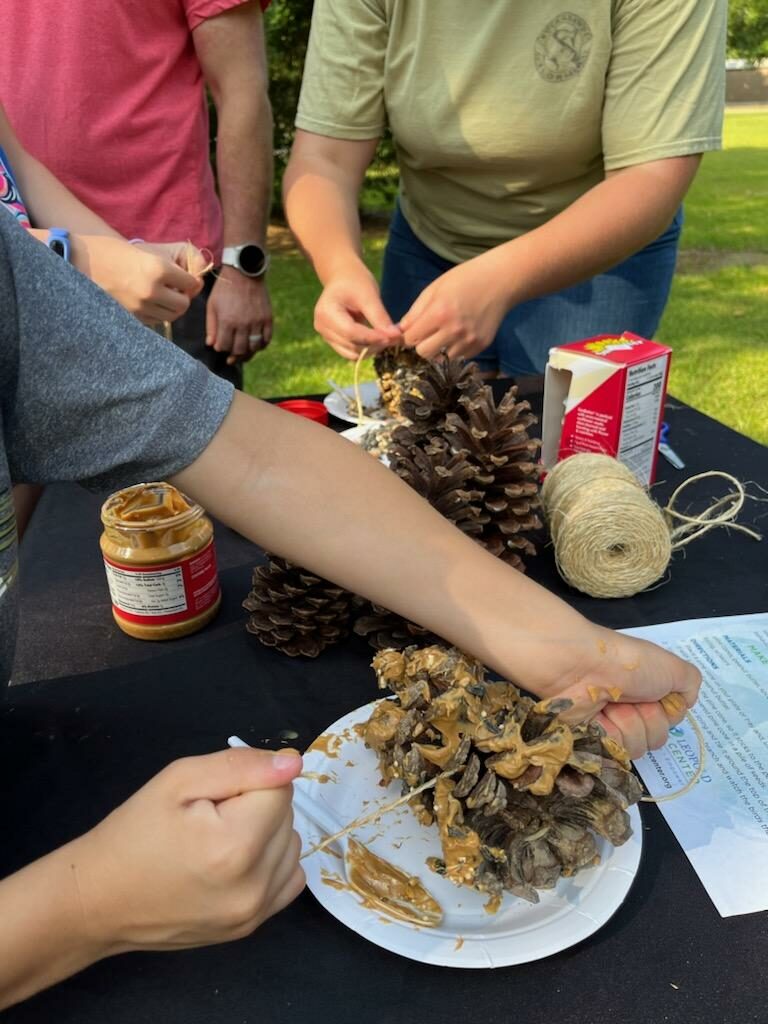 A child ties string to a peanut butter covered pine cone. 