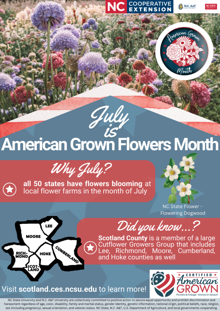 July is American Grown Flowers Month