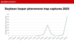 Graph showing soybean looper moth activity